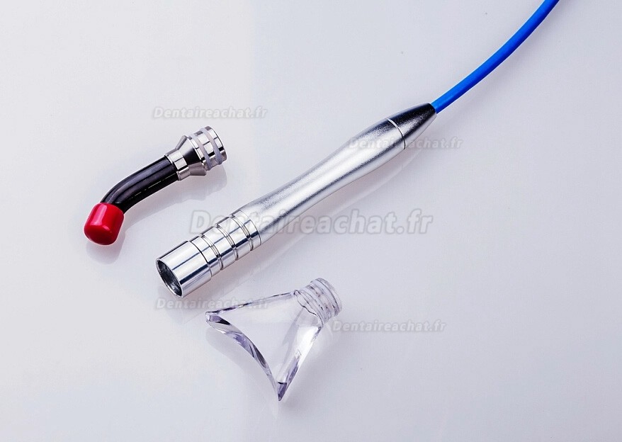 Mini laser à diode dentaire Gigaa Laser CHEESE II 7W-10W 810/980nm